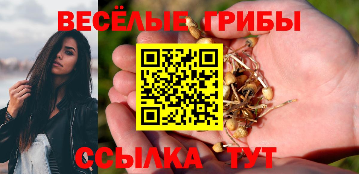 Псилоцибиновые грибы MAGIC MUSHROOMS Бутурлиновка