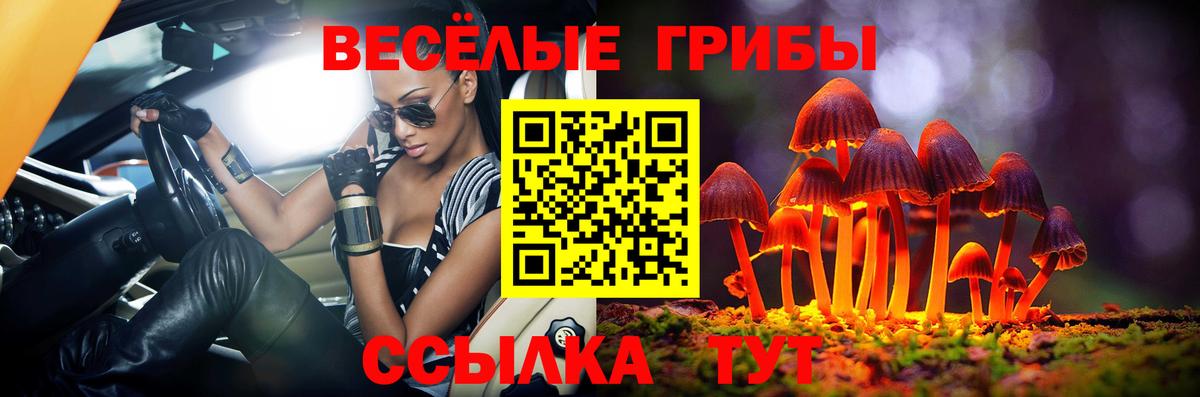 Галлюциногенные грибы мицелий  Галлюциногенные грибы GOLDEN TEACHER  магазин  наркотиков  Бутурлиновка  Вход с VPN 